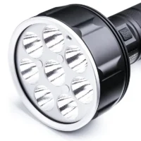 Saint Torch 31-3